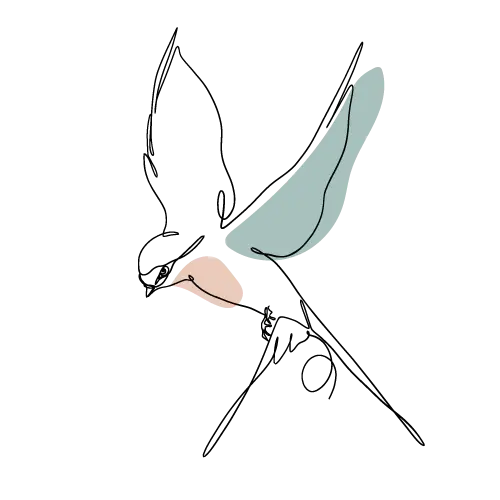 Pomozme vlaštovkám hnízdit — i malá změna dokáže hodně