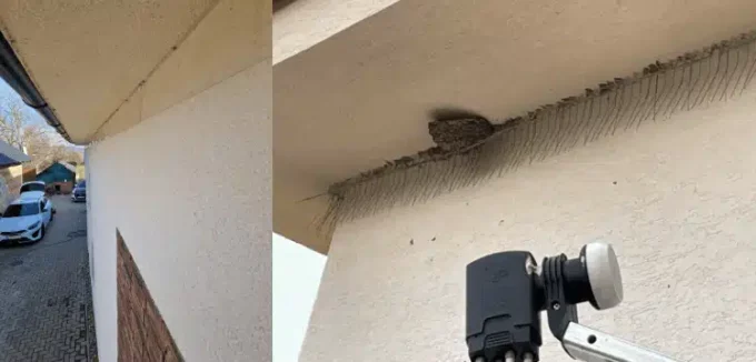 W5-R hroty proti vlaštovkám