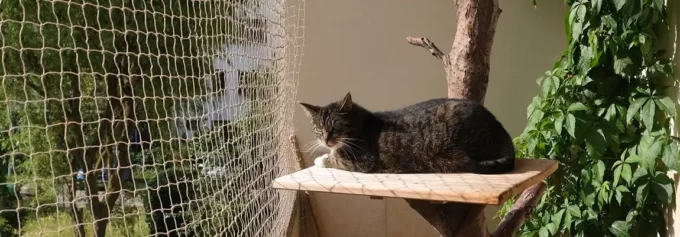 Montáž sítě pro kočky na balkon